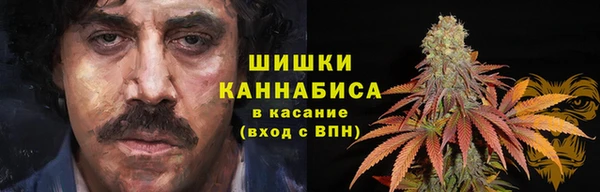 PSILOCYBIN Иннополис