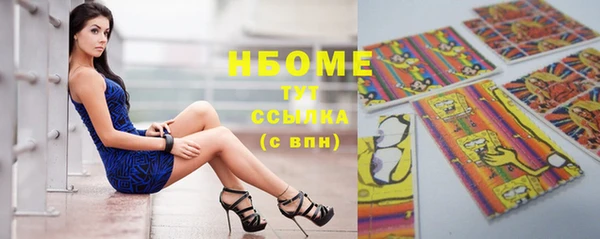 гашик Зеленокумск