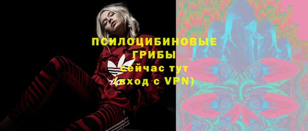 дживик Инсар