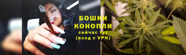 PSILOCYBIN Иннополис
