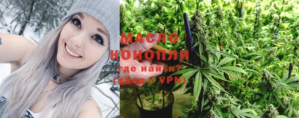 гашик Зеленокумск