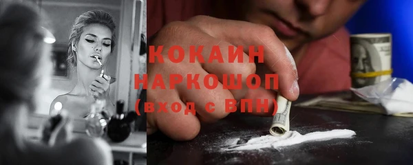 PSILOCYBIN Иннополис