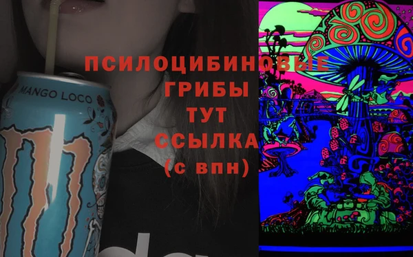гашик Зеленокумск