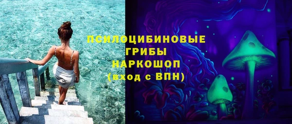 PSILOCYBIN Иннополис
