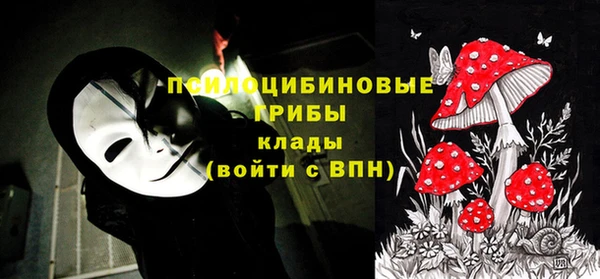 гашик Зеленокумск