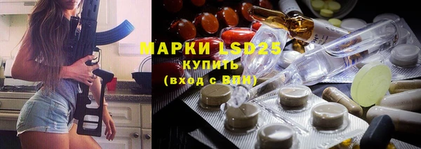 гашик Зеленокумск