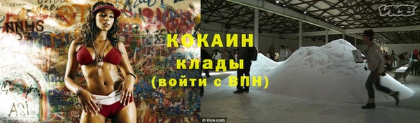 PSILOCYBIN Иннополис