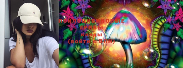 дживик Инсар